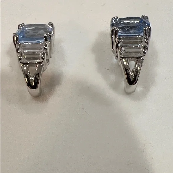 Elegant Sterling Silver and Blue Earrings - Picture 2 of 5